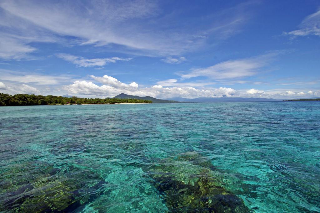 Bunaken Divers Sea Breeze Resort Eksteriør billede